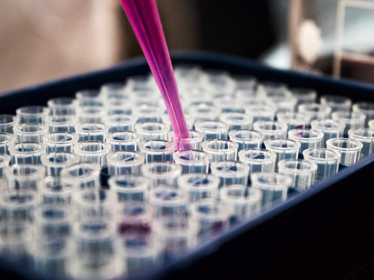 Understanding Your Biomarkers